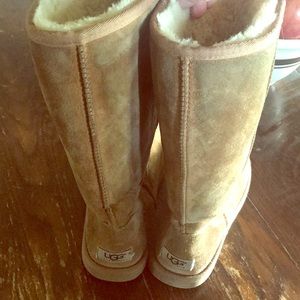 Uggs Tall size 8